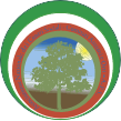 Ancescao Modena