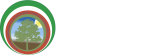 Ancescao Modena