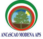 Ancescao Modena